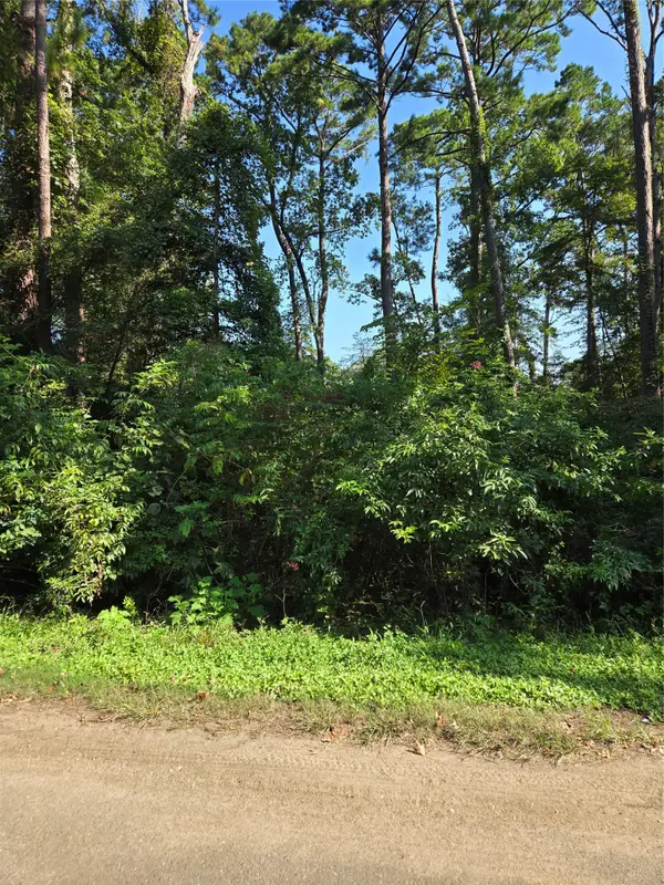 237 White Oak, Burkeville, TX 75932