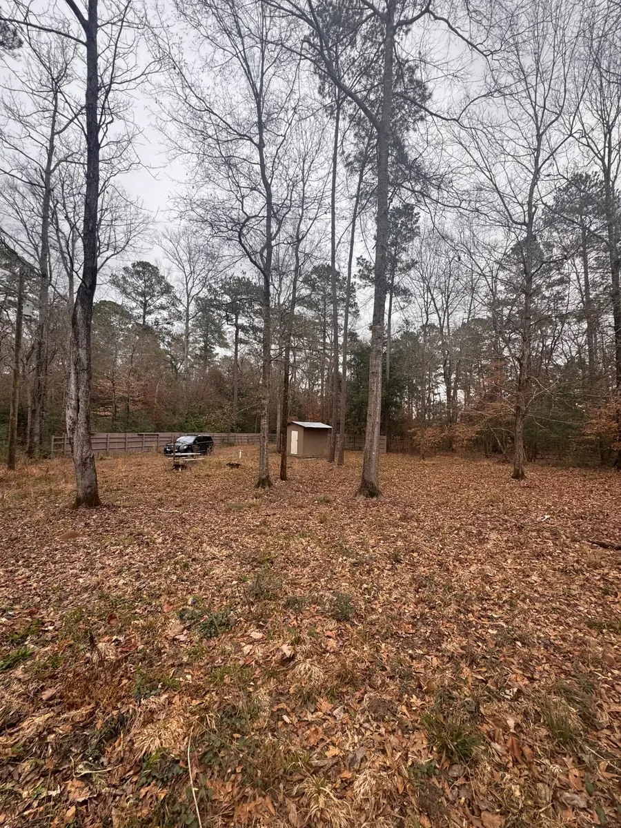 10441 Us 287, Chester, TX 75936 - #3