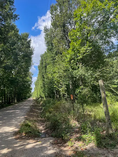 0 Jenkins Road North, Oakhurst, TX 77359 - #2