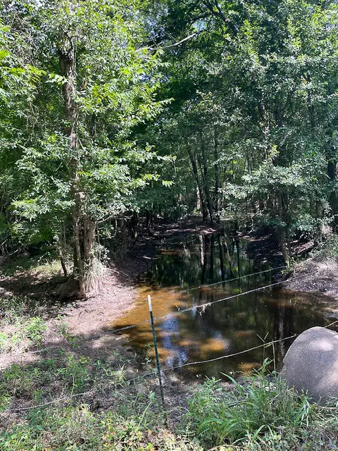 0 Jenkins Road North, Oakhurst, TX 77359 - #3