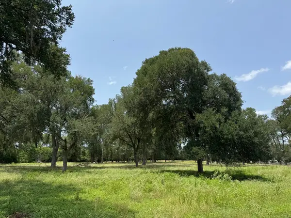 220 Bybee Road, Round Top, TX 78954