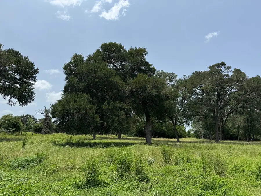 220 Bybee Road, Round Top, TX 78954 - #2
