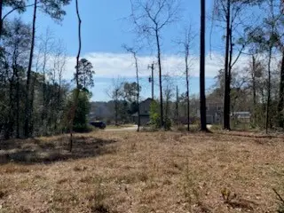 529 Mohawk Bend, Montgomery, TX 77316 - #2