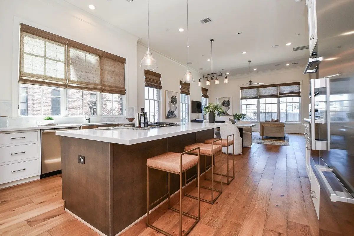 5 Robita Street, Houston, TX 77019 - #1