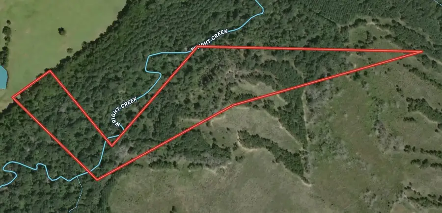 Tract 12B F M 230, Lovelady, TX 77854 - Image #3