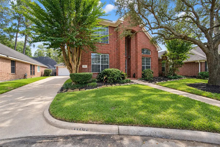 11707 River Vine Court, Tomball, TX 77377 - #2