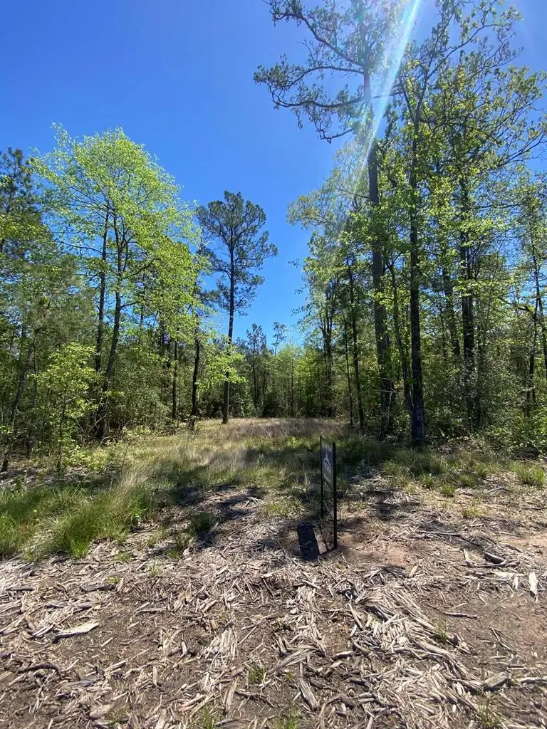 39-A Fm 1751, Broaddus, TX 75929 - #1