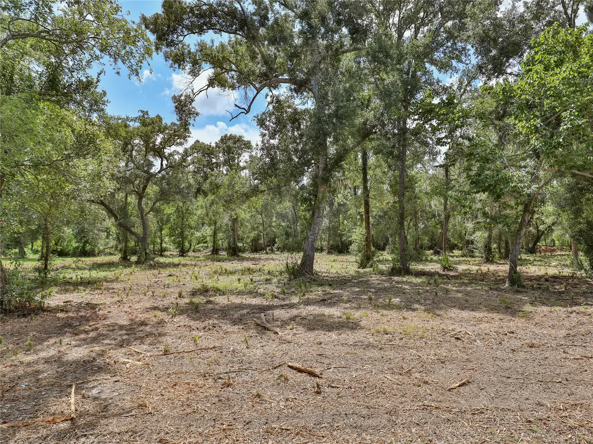2289 Cr-851, Brazoria, TX 77422 - #1