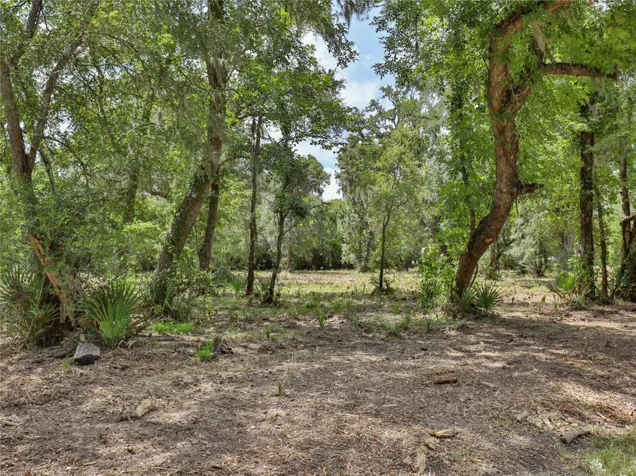 2289 Cr-851, Brazoria, TX 77422 - #3