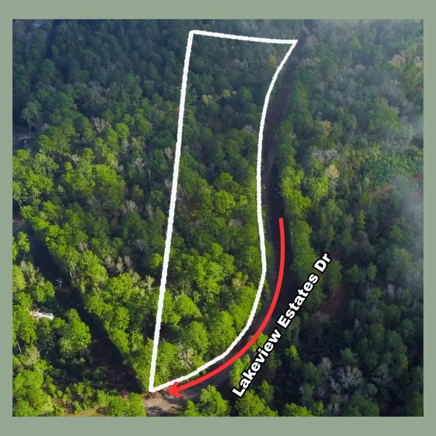 00 Lakeview Estates Drive, Coldspring, TX 77331 - #3