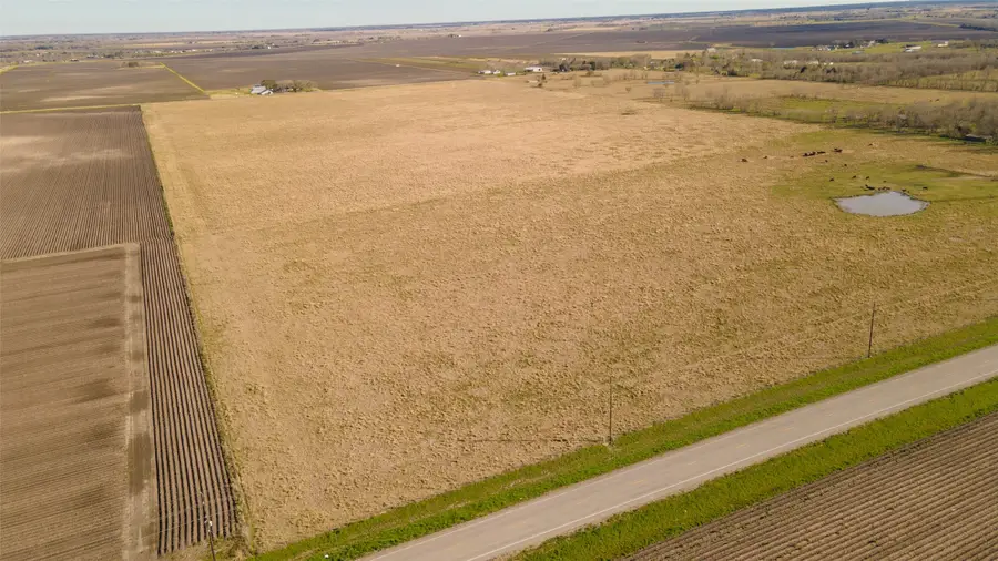 003 Fm 1462 Road, Damon, TX 77430 - #3