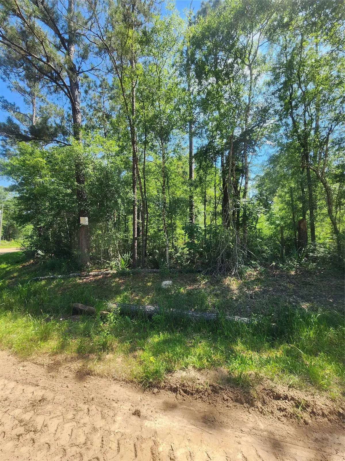 03 Cindy Lane, Shepherd, TX 77371 - #1
