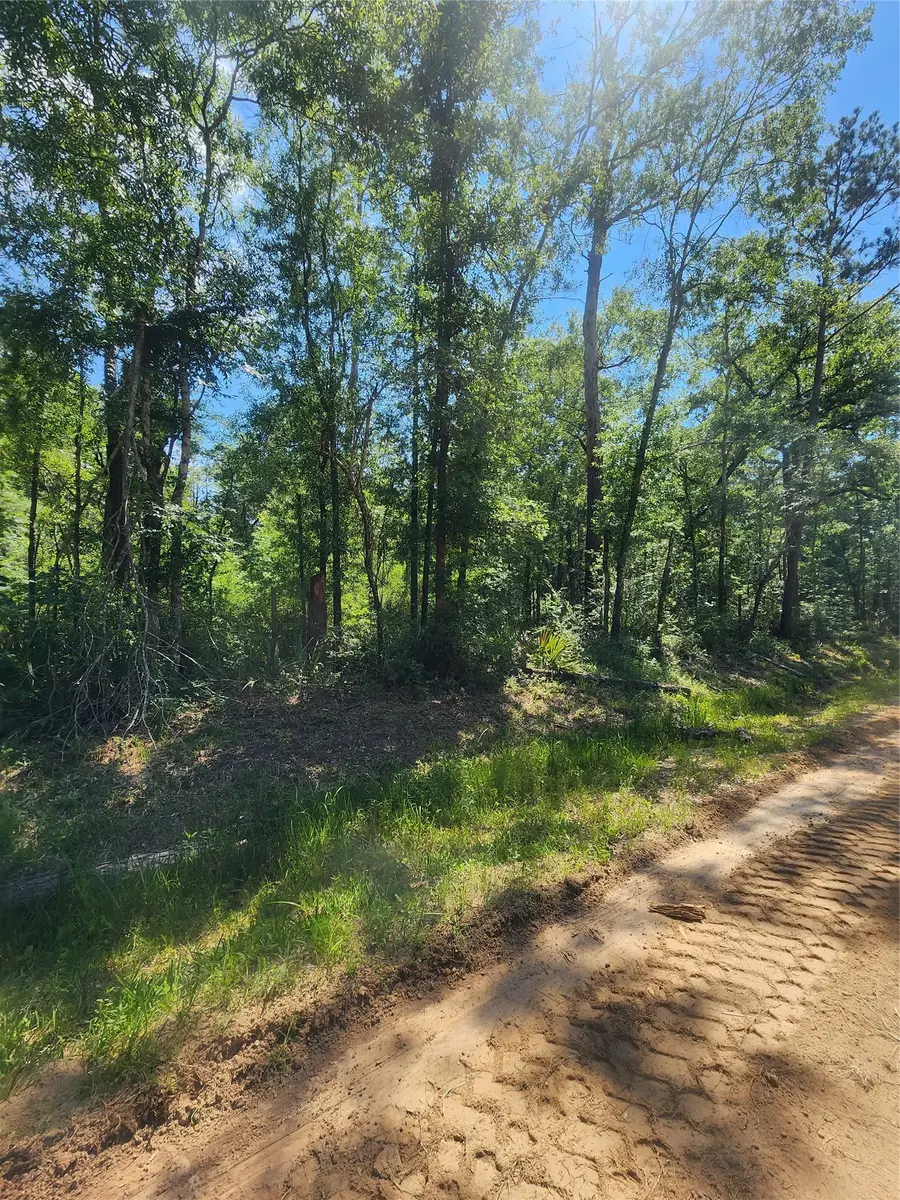 03 Cindy Lane, Shepherd, TX 77371 - #2