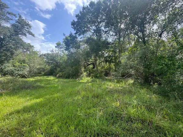 TBD Dewberry Lane, Louise, TX 77455