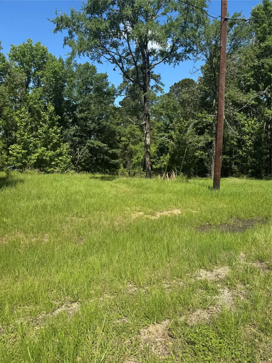 TBD Rose, Red Clover, Livingston, TX 77351 - #3