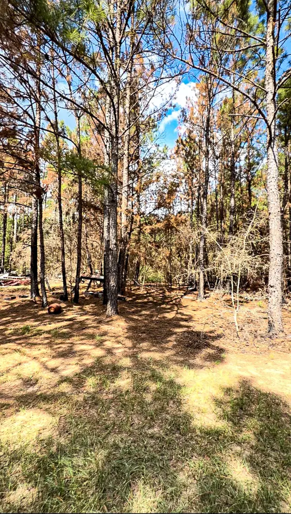 601 Oak Ridge Road, Willis, TX 77378