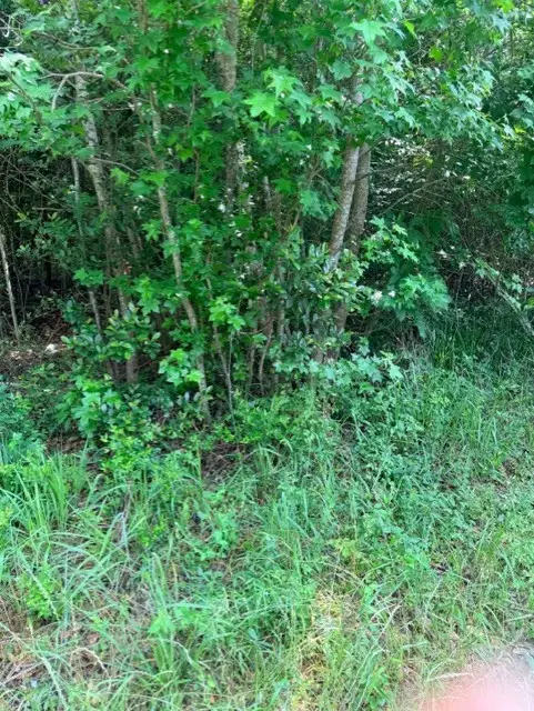 14388 Baxter Road, Conroe, TX 77306 - #1