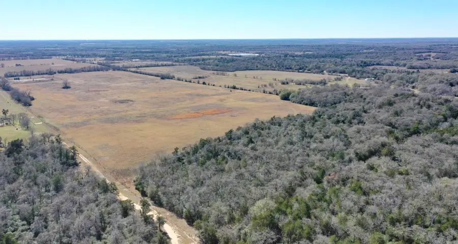 TBD Cr 328, Tract 3, 10 Acres, Caldwell, TX 77836 - #3