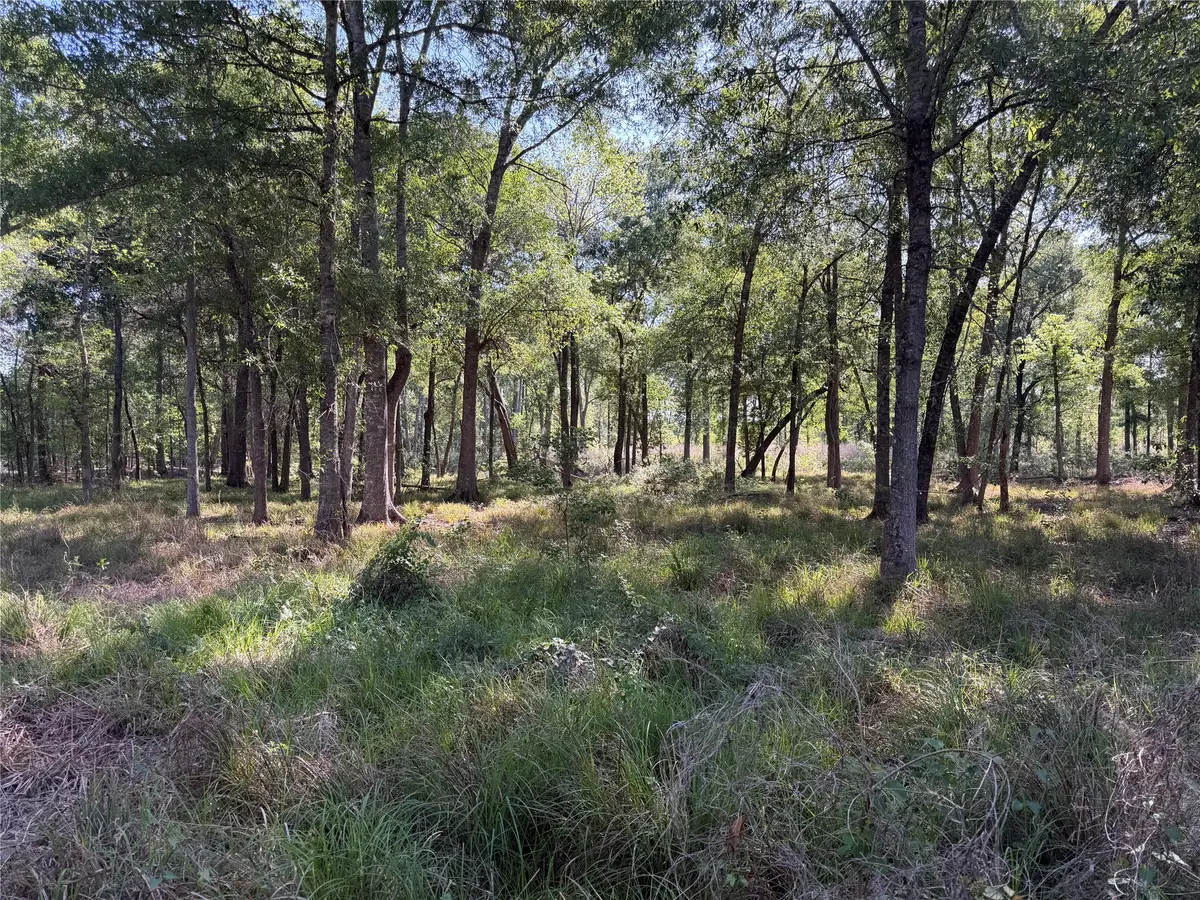00 County Road 2195, Cleveland, TX 77327 - #1
