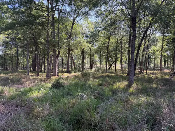 00 County Road 2195, Cleveland, TX 77327