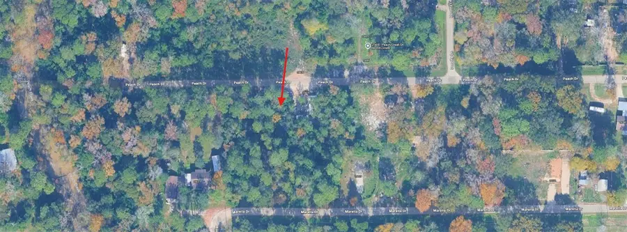 108 Peach Creek Drive, New Caney, TX 77357 - #2