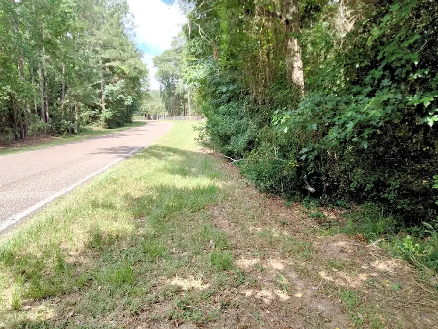 19300 Mount Pleasant Road, Montgomery, TX 77356 - #2