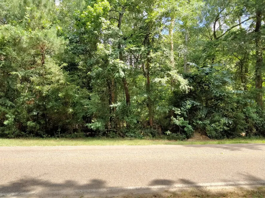 19300 Mount Pleasant Road, Montgomery, TX 77356 - #3