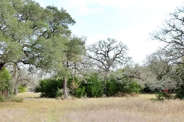 TBD Parcel 10 Lobo Lane, Columbus, TX 78934