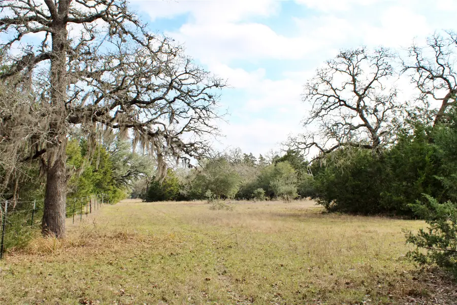 TBD Parcel 10 Lobo Lane, Columbus, TX 78934 - #3