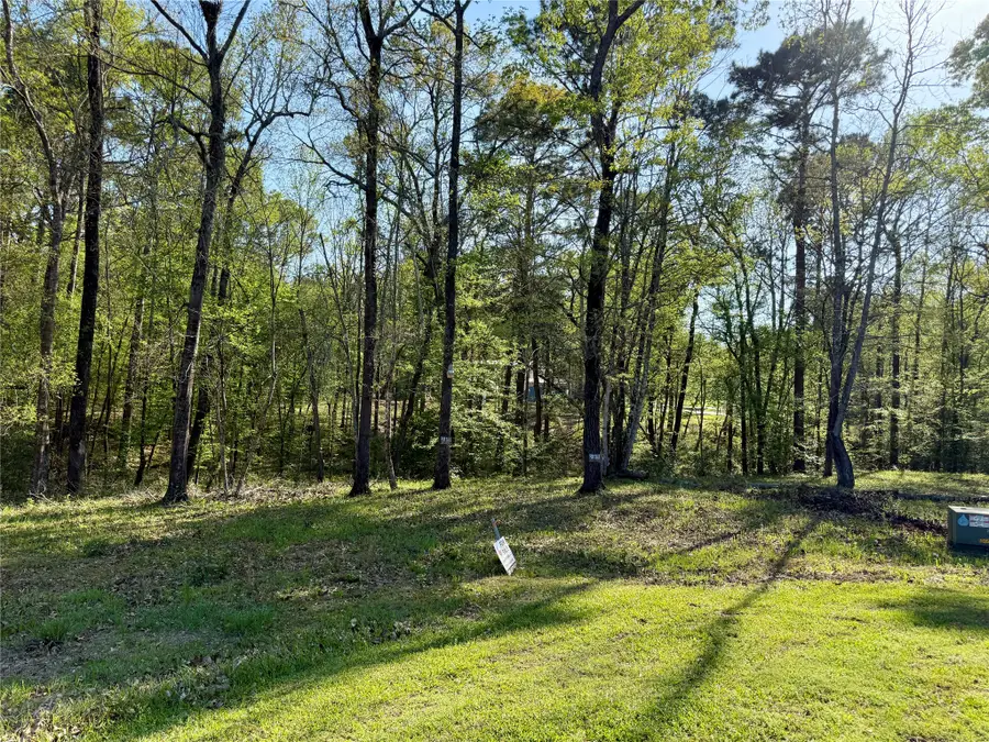 TBD Leaning Oak Drive, Point Blank, TX 77364 - #2