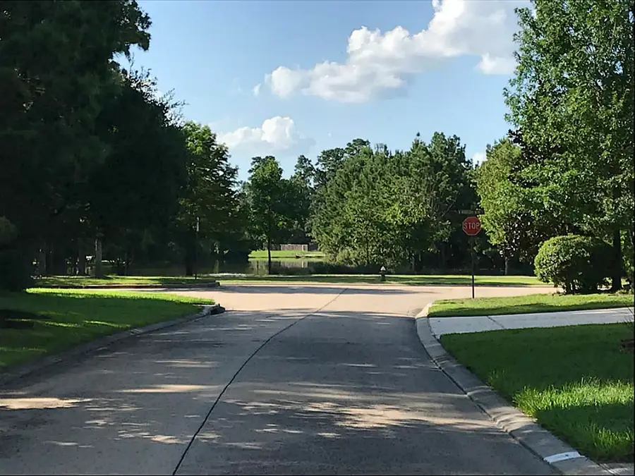 11 Trilling Bird Place, The Woodlands, TX 77384 - #2