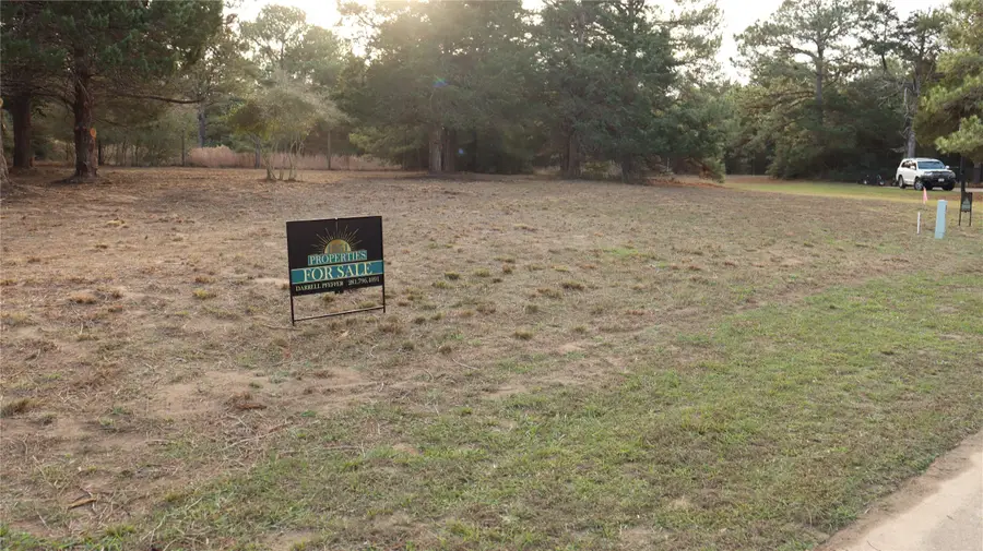 Lot 27A Doral Drive, New Ulm, TX 78950 - #3