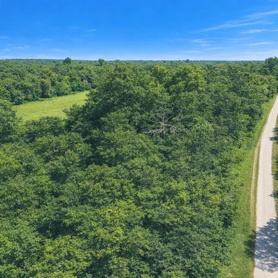 7 Ferguson Drive, Cleveland, TX 77327 - #2