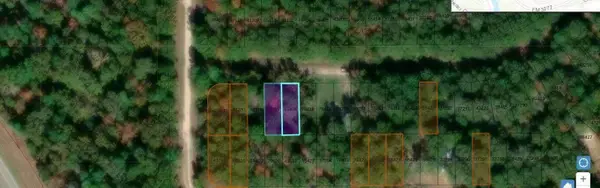 Lots 435 and 436 Wake Forest, Livingston, TX 77351