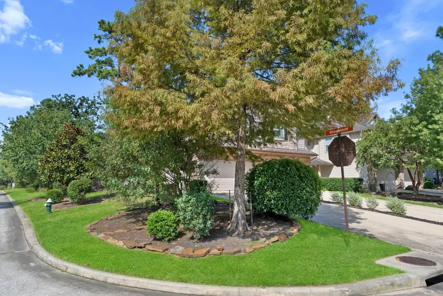 46 Whitekirk Place, Magnolia, TX 77354 - #3