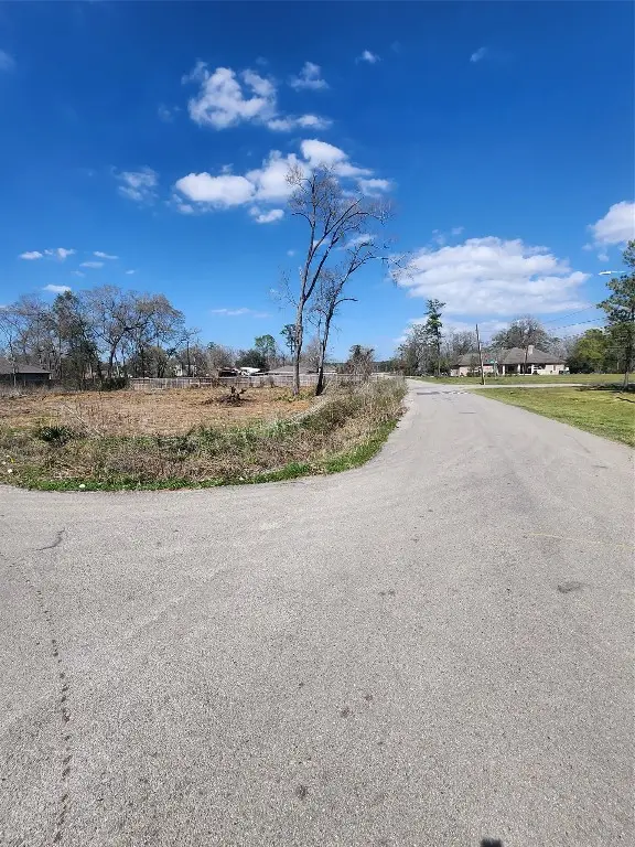 10105 Haddick Street, Houston, TX 77078 - #1