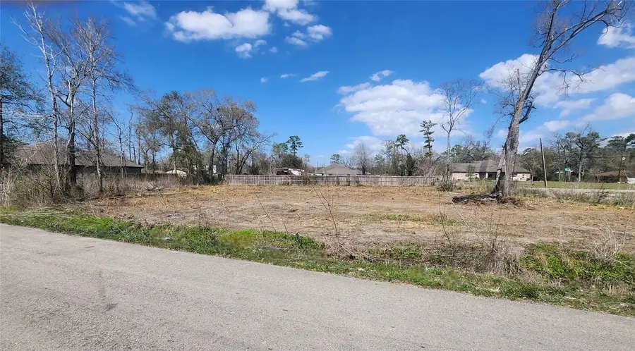 10105 Haddick Street, Houston, TX 77078 - #2