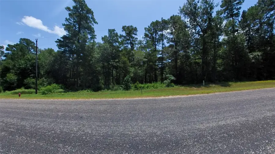 4a-11-55 Sundog Road, Huntsville, TX 77340 - #2