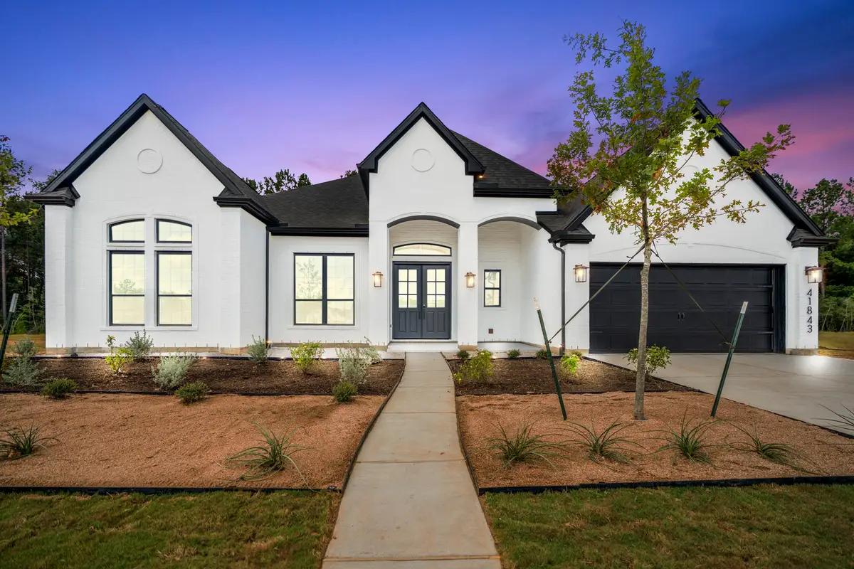 41843 Wendele Way, Montgomery, TX 77316 - #1