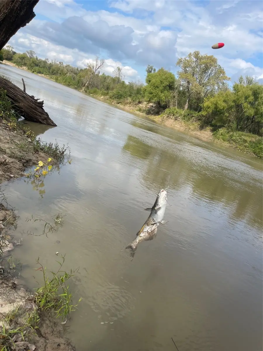 2667 Pr 1195, Midway, TX 75852 - Image #3