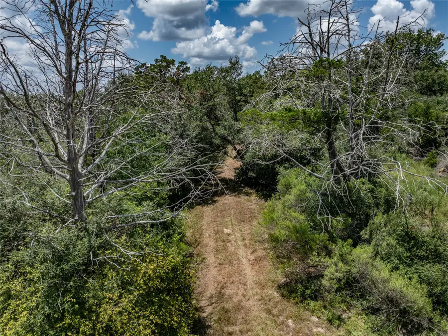 1126 Abel Road, New Ulm, TX 78950 - #3