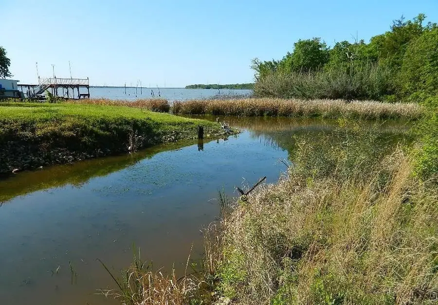TBD Country Road 371, Jewett, TX 75846 - #2