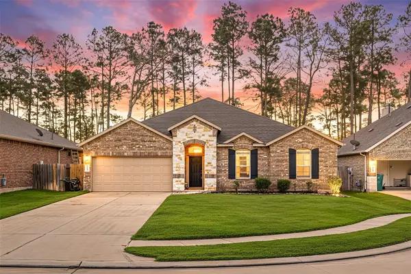 14023 Beaverhead Range Court, Conroe, TX 77384