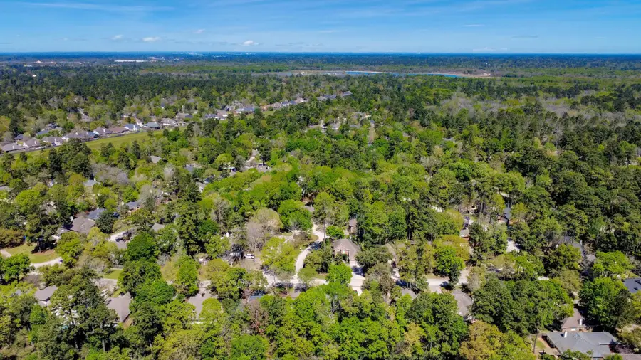143 S Delta Mill Circle, Conroe, TX 77385 - #2