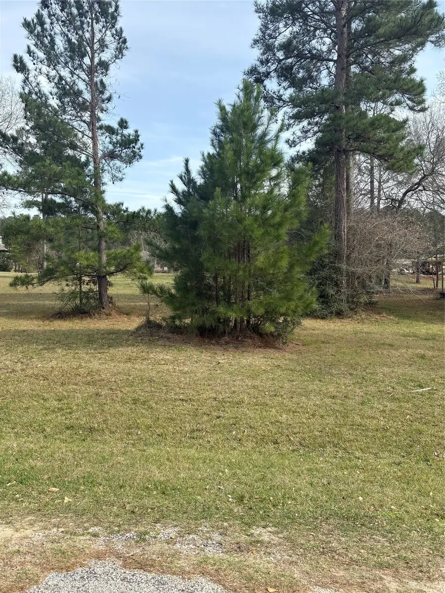 155 N Forest Drive, Huntsville, TX 77340 - #2