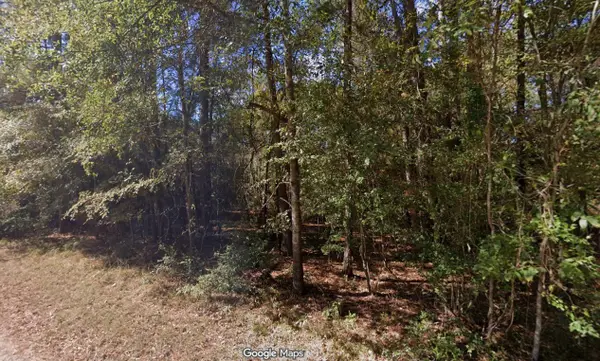 0 Anglers Drive, Trinity, TX 75862