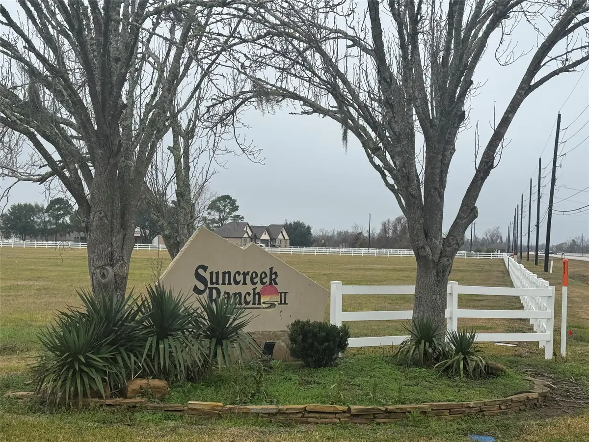 17218 Lucky Horse Drive, Rosharon, TX 77583 - #1