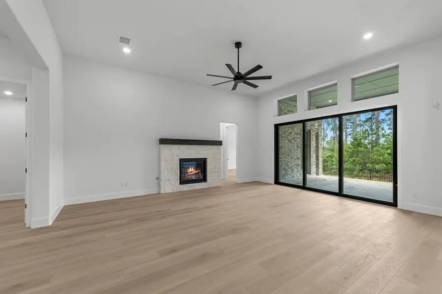 736 Golden Aster Boulevard, Waller, TX 77484 - #3