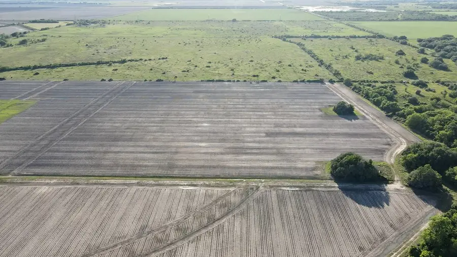 0 Cr 343 Road, Blessing, TX 77419 - #2
