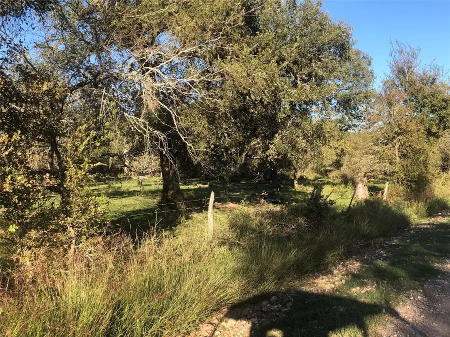 0 Kickler Road, Fayetteville, TX 78940 - #3